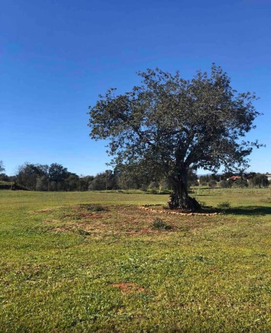 אלקנטרילה Quinta Chalet מראה חיצוני תמונה